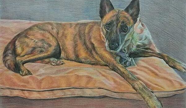 dog portrait from painting