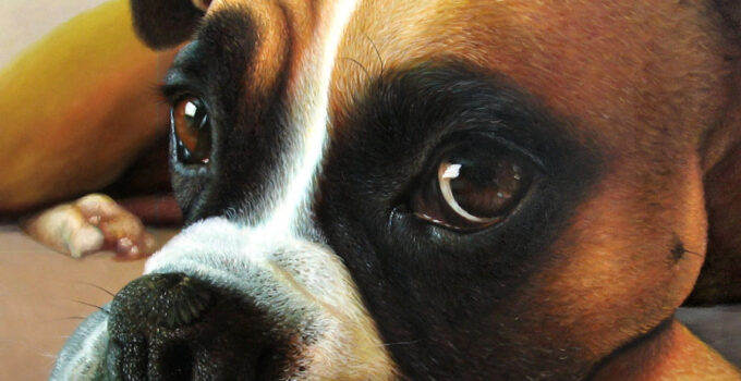 Hand painted portrait from photo of beautiful dog.